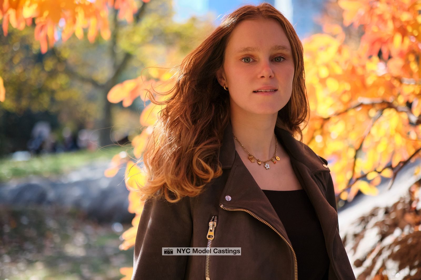 Central Park Casting